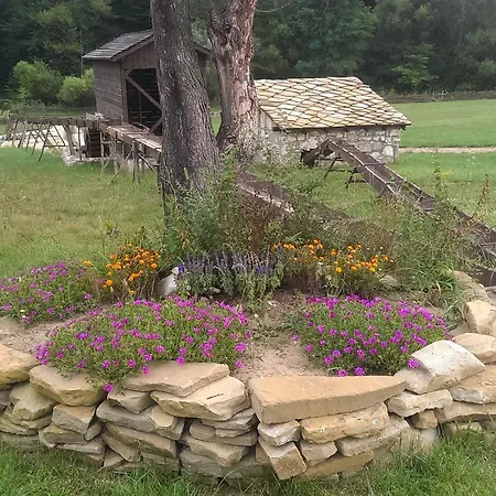 етнокомплекс кривини Krivini